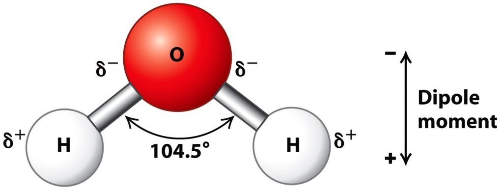water as a lubricant biology Best Wand Vibrators [ACTUALLY Tested & Reviewed]